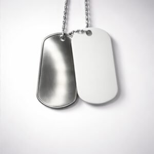 Stainless Steel and Silver